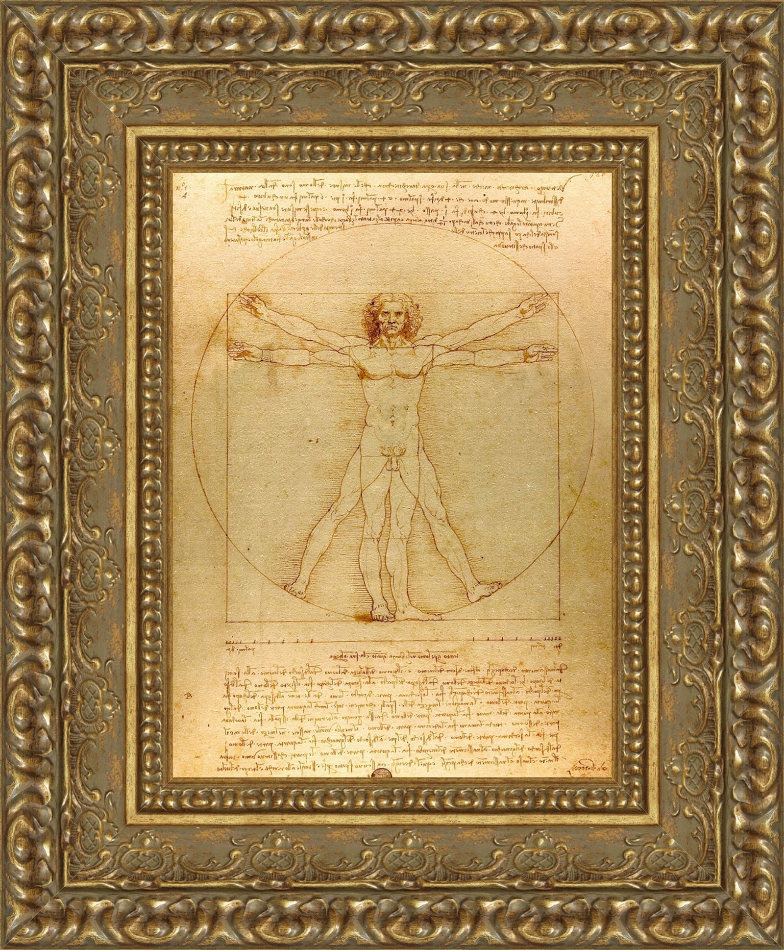 Vitruvian Man – Leonardo da Vinci, 1490
