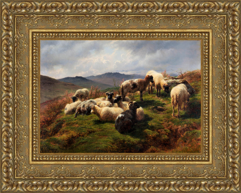 Sheep In The Highlands – Rosa Bonheur, 1870
