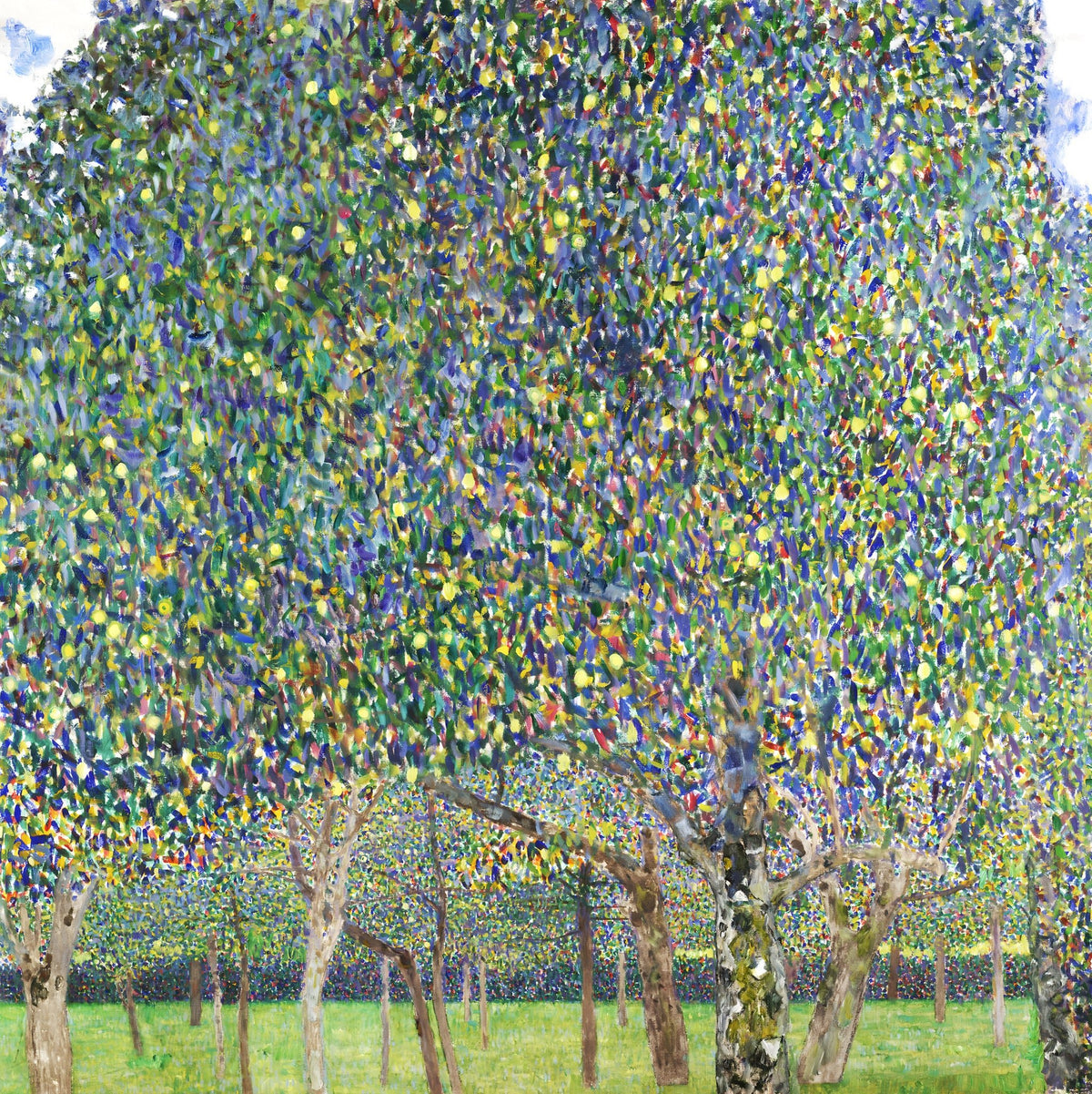 Pear Tree by Gustav Klimt — Framed Giclee Canvas Print | Canvas Classics