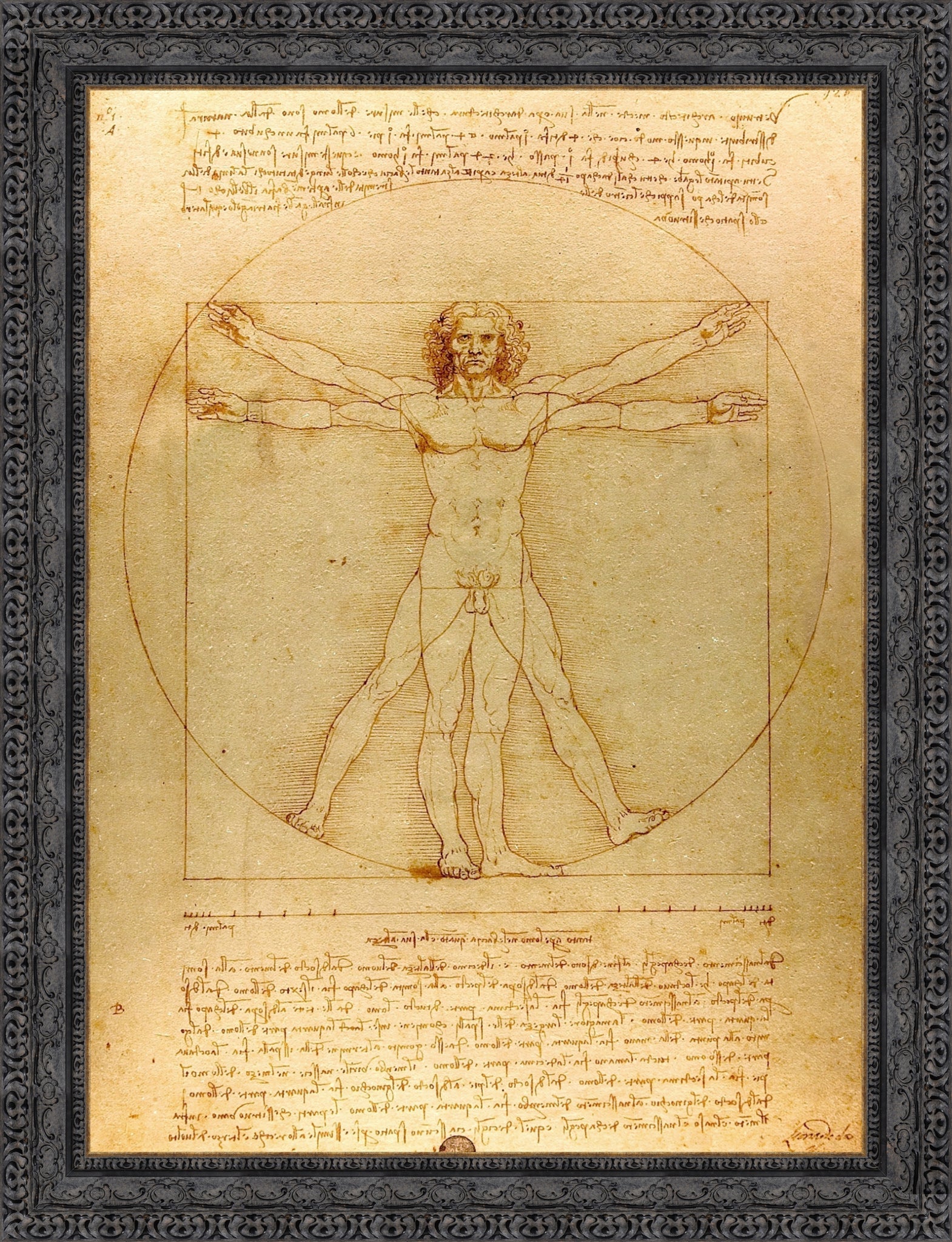 Vitruvian Man