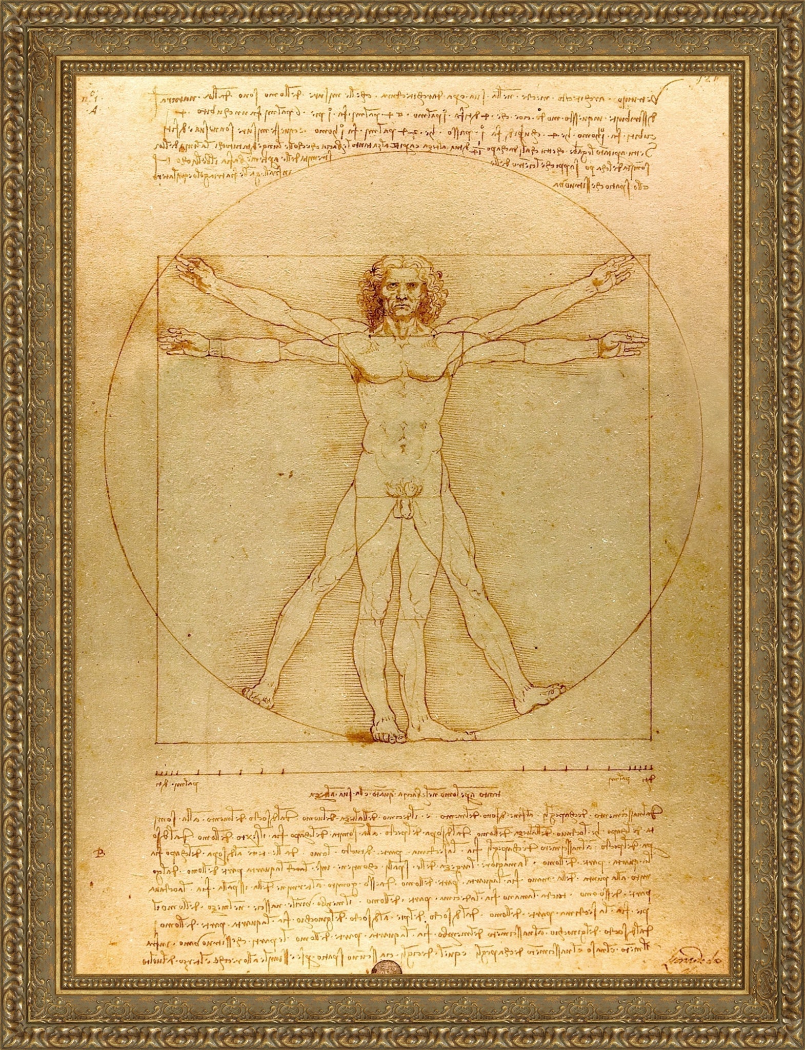 Vitruvian Man