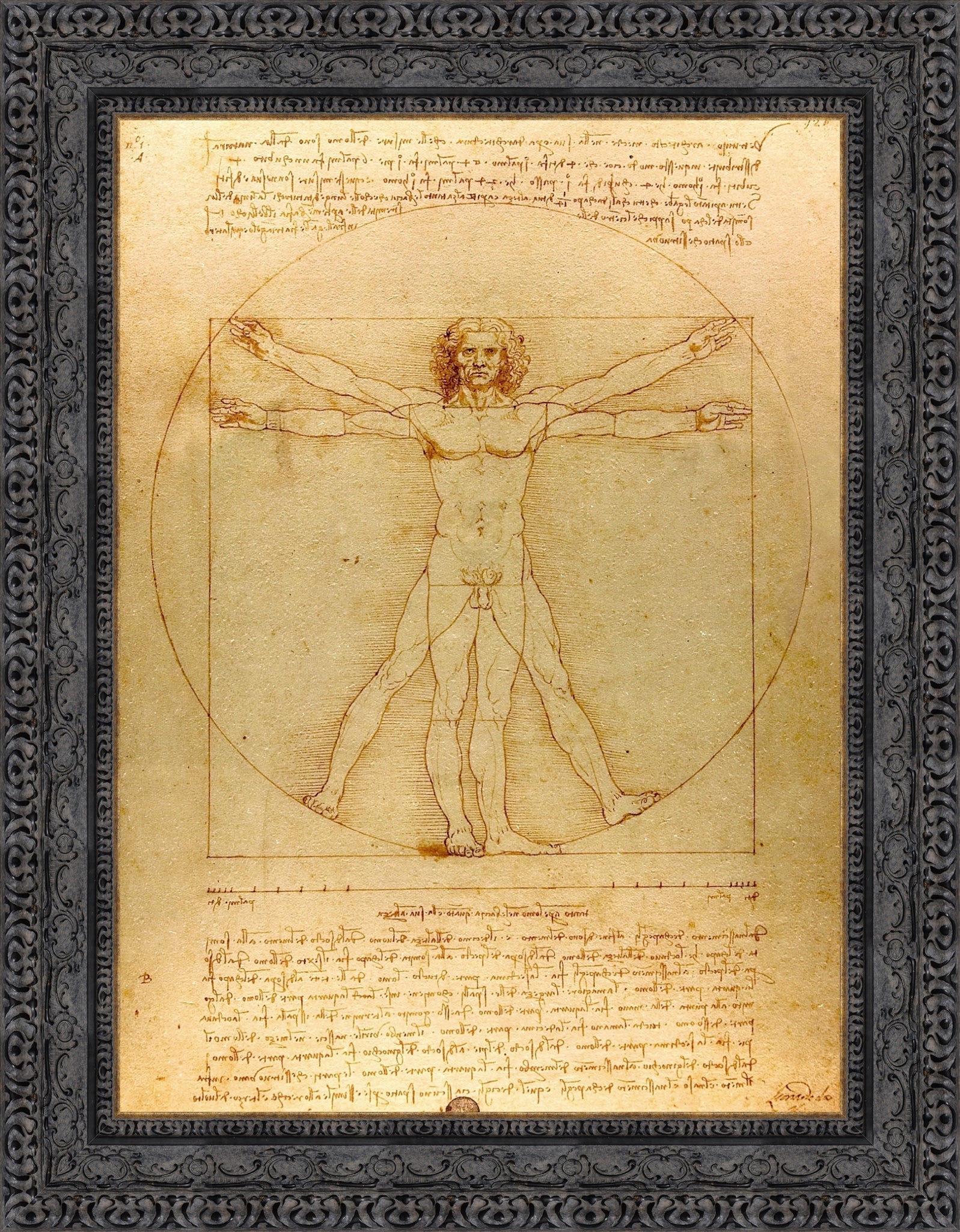 Vitruvian Man