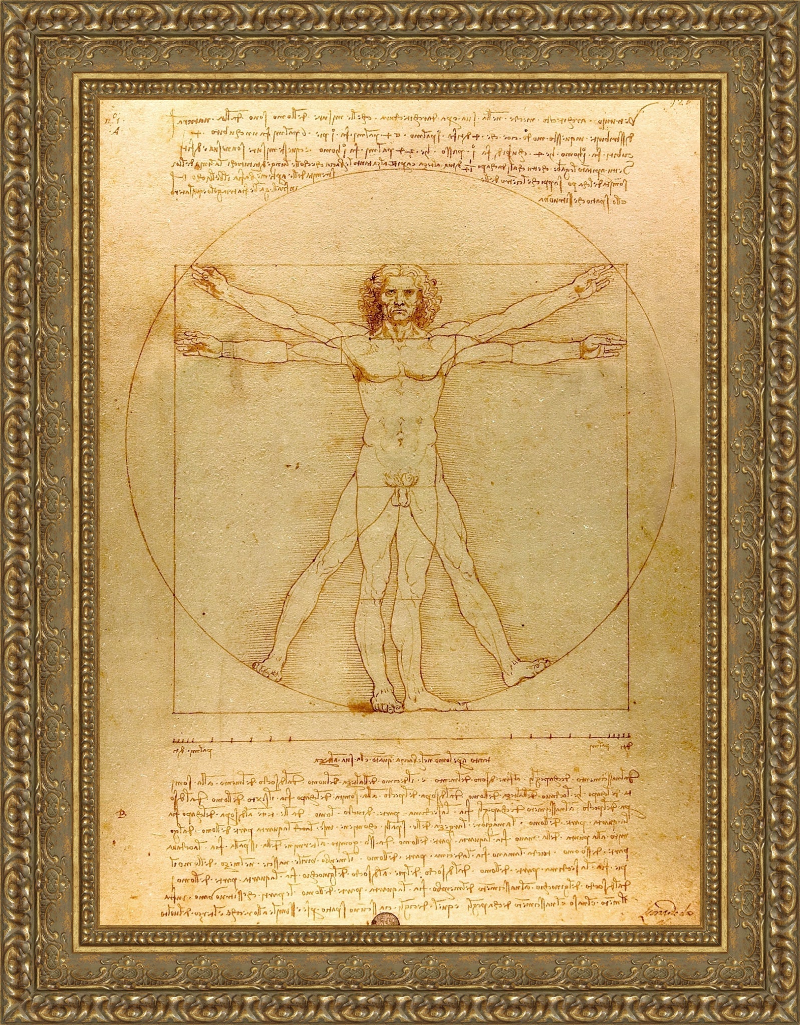 Vitruvian Man