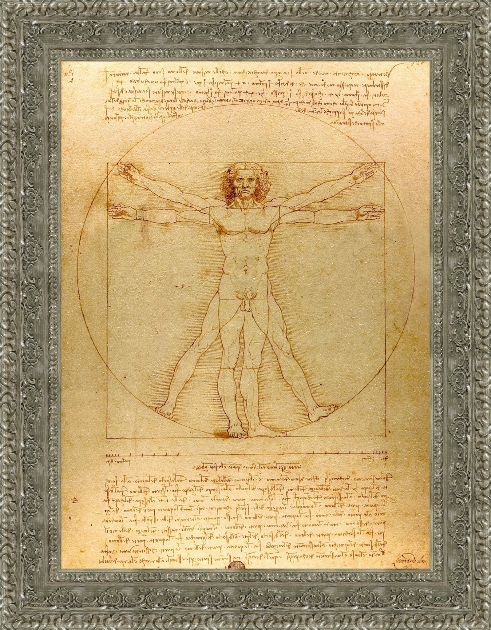 Vitruvian Man