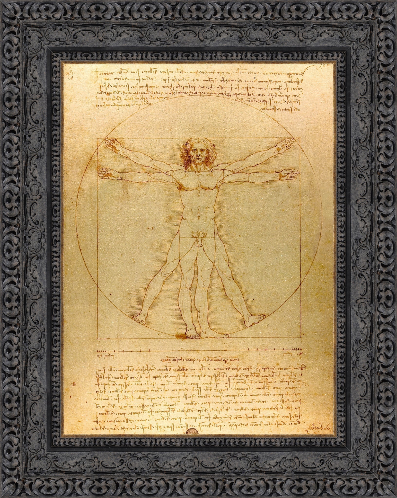 Vitruvian Man