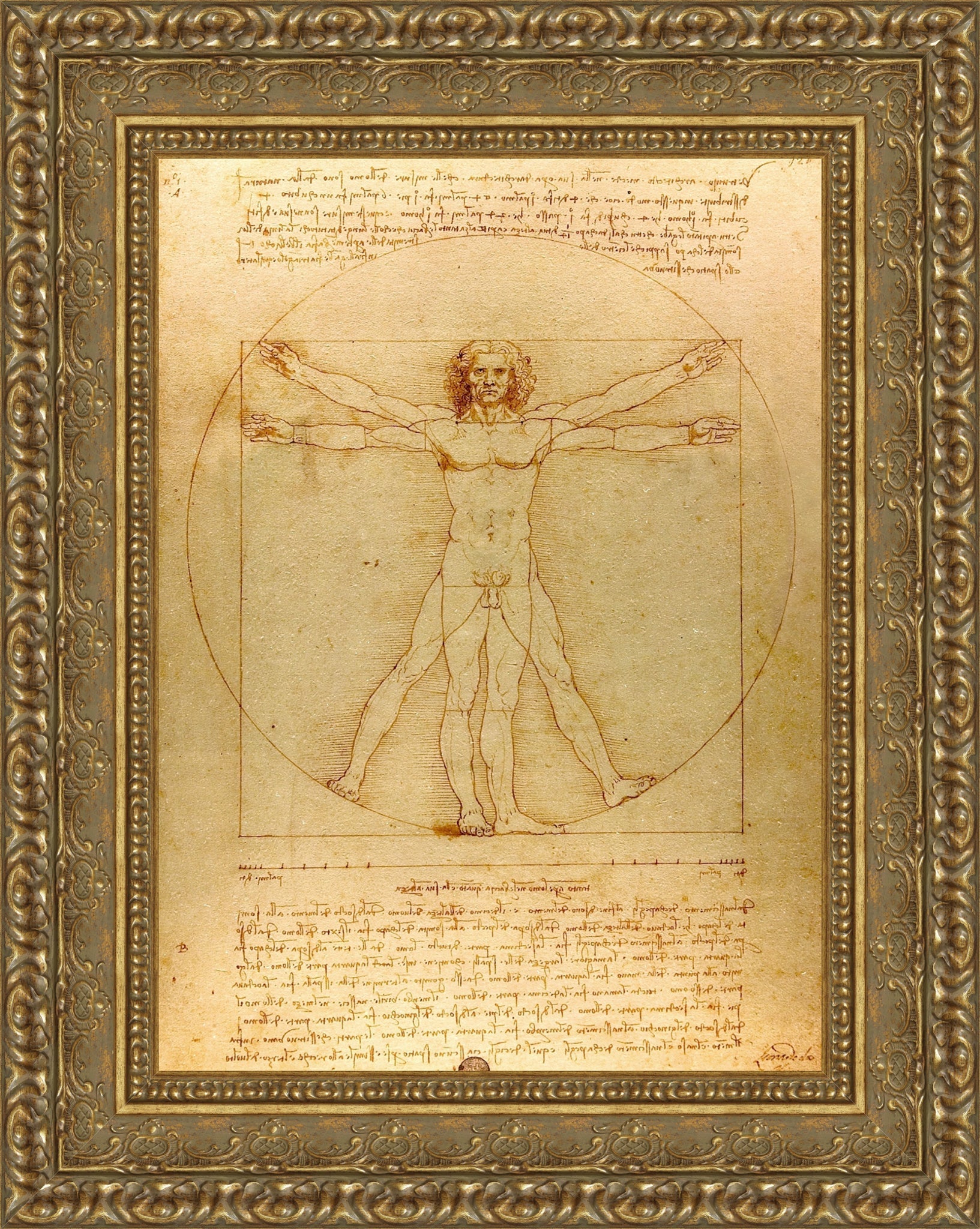 Vitruvian Man