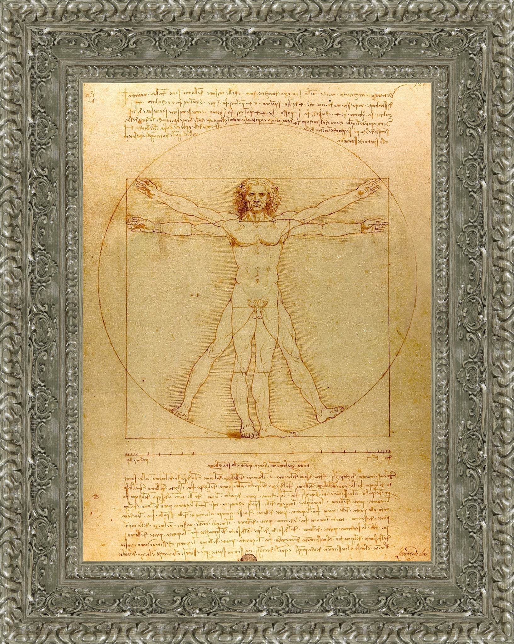 Vitruvian Man