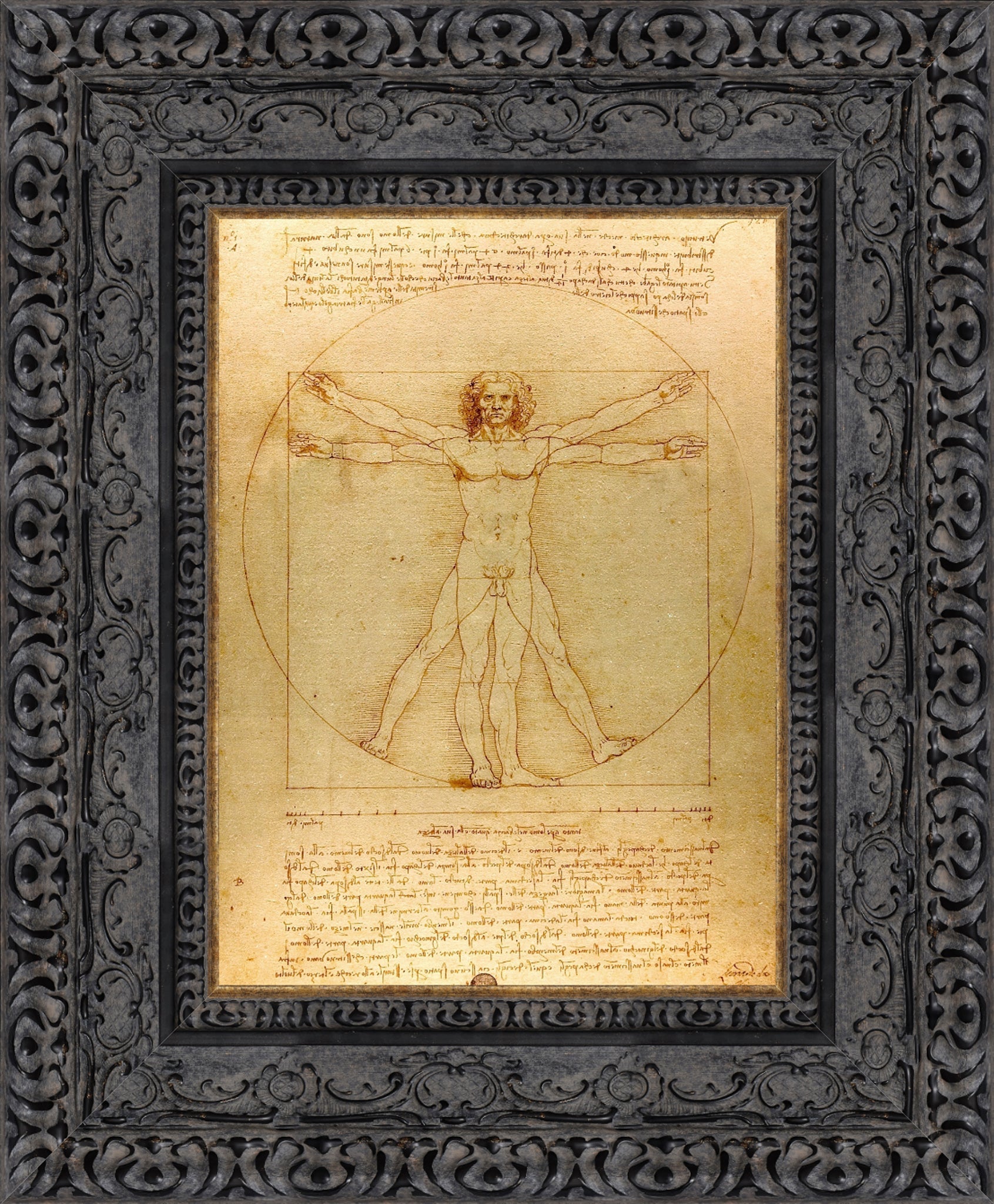 Vitruvian Man