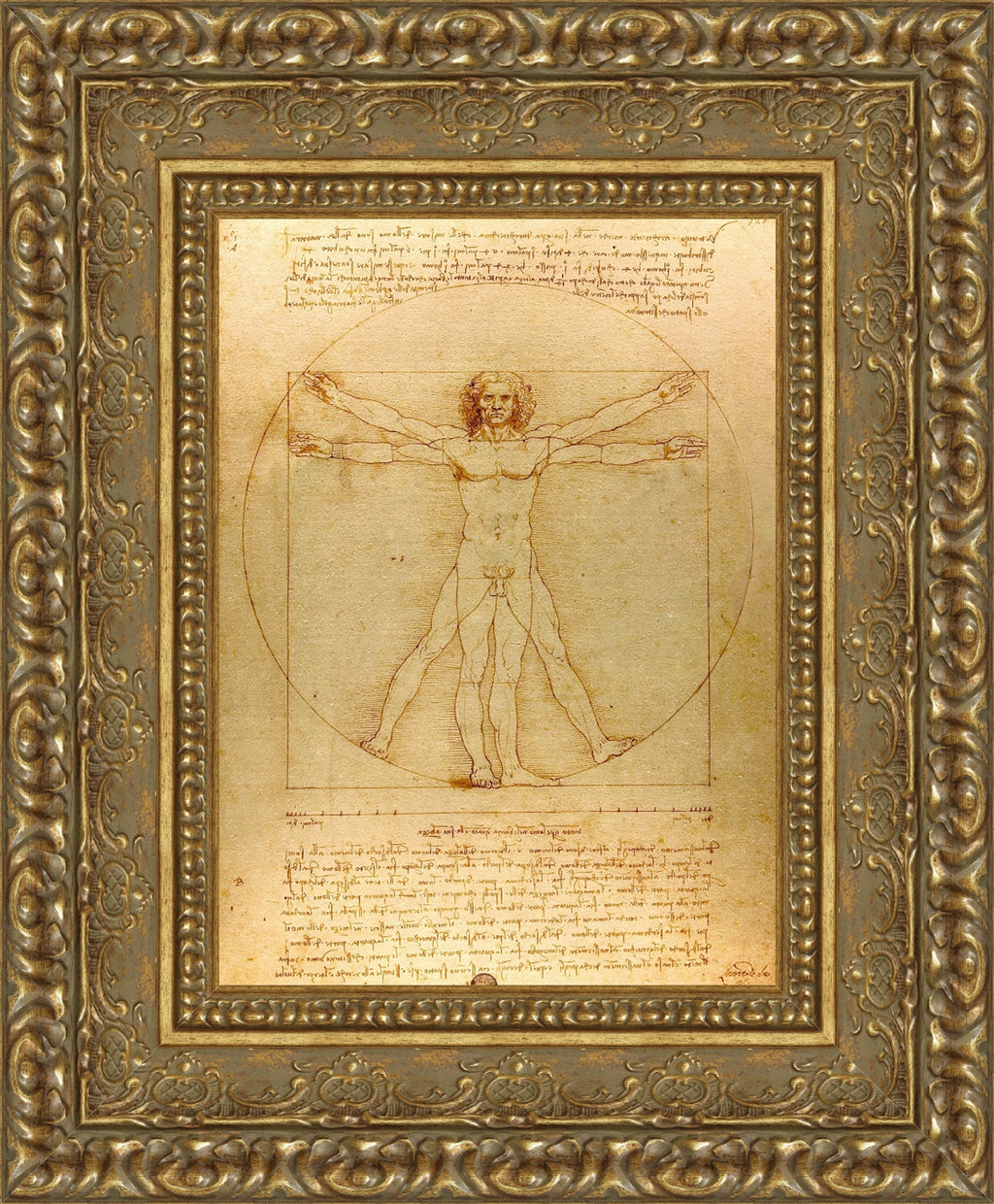 Vitruvian Man