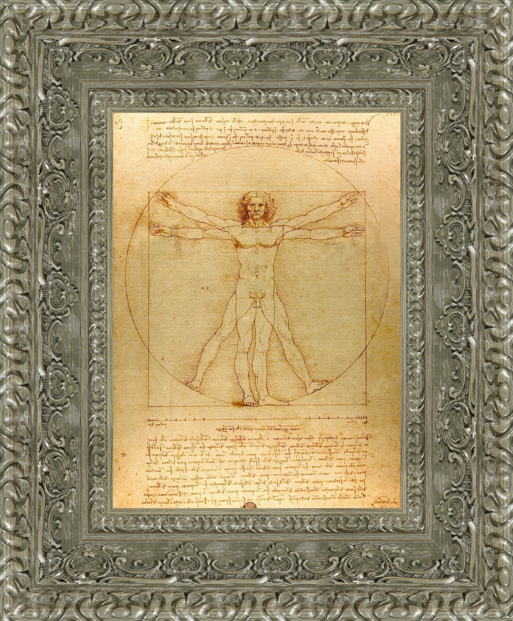 Vitruvian Man