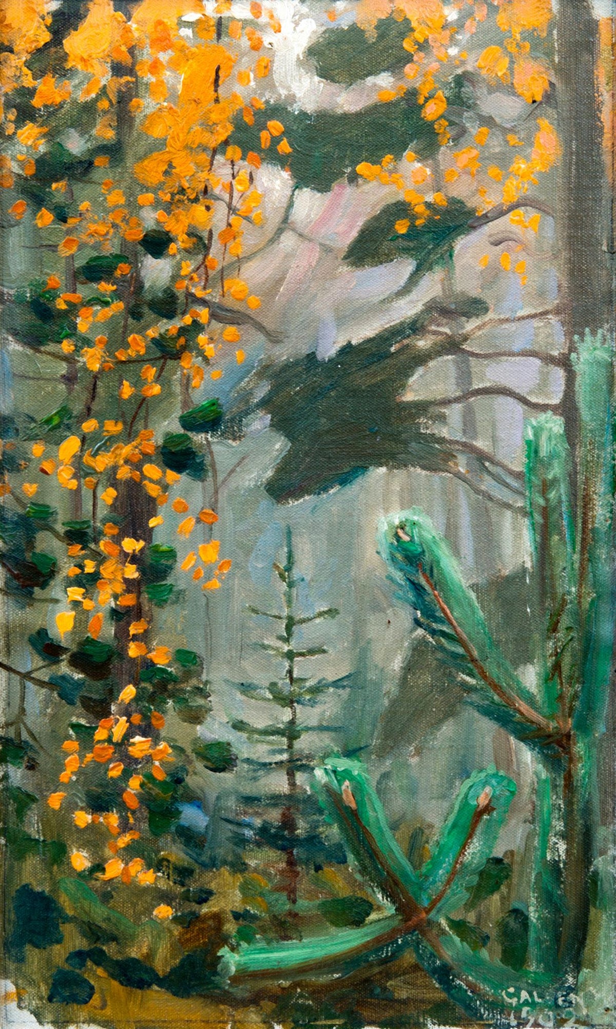 Autumn Forest – Akseli Gallen-Kallela, 1899, framed