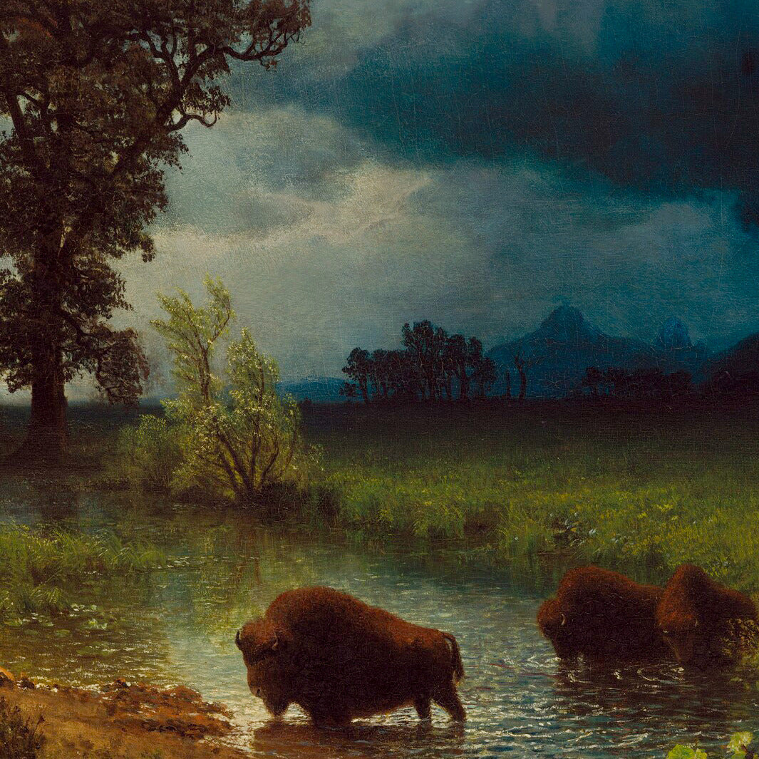 Buffalo Trail: The Impending Storm – Albert Bierstadt, 1869, print detail at full resolution