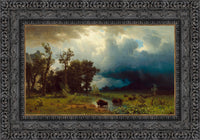 Dark Bronze frame