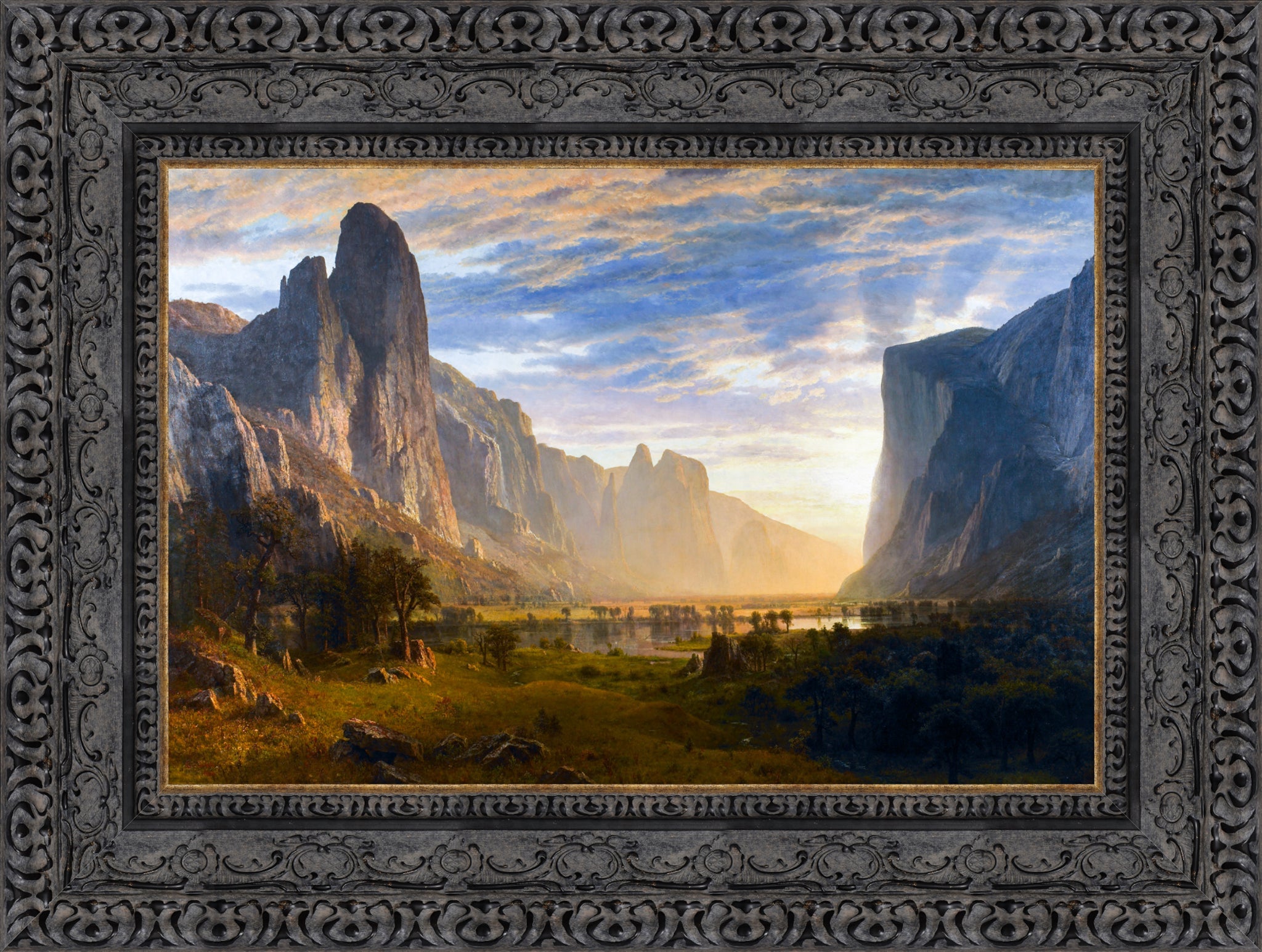 Looking Down Yosemite Valley