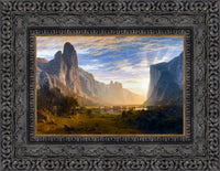 Dark Bronze frame