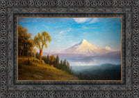 Dark Bronze frame