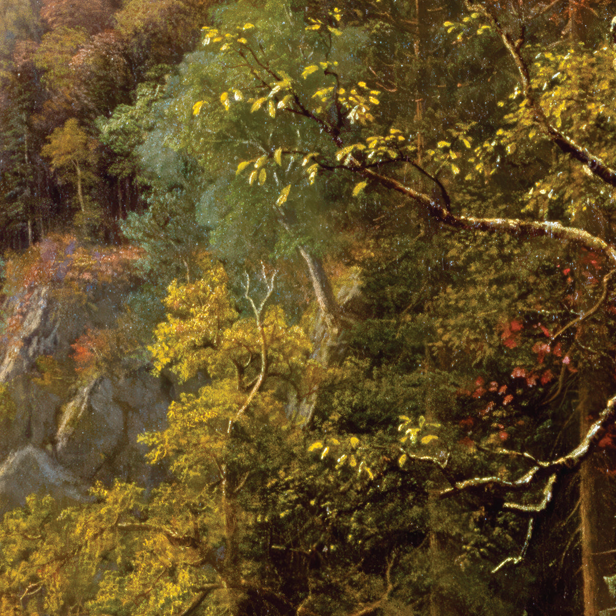The Emerald Pool – Albert Bierstadt, 1870, print detail at full resolution