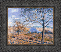 Dark Bronze frame
