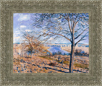 Silver frame