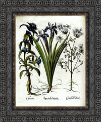 Dark Bronze frame