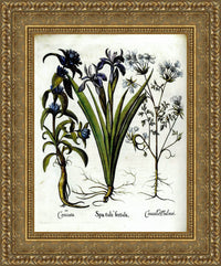 Gold frame