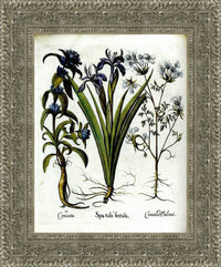Silver frame