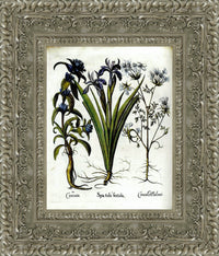 Dark Bronze frame
