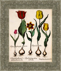 Silver frame