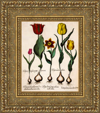 Gold frame