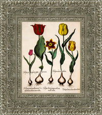 Silver frame