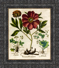 Dark Bronze frame