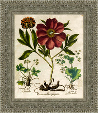 Silver frame