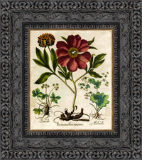 Dark Bronze frame