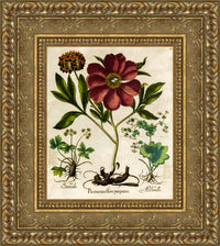 Gold frame