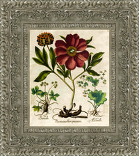 Silver frame