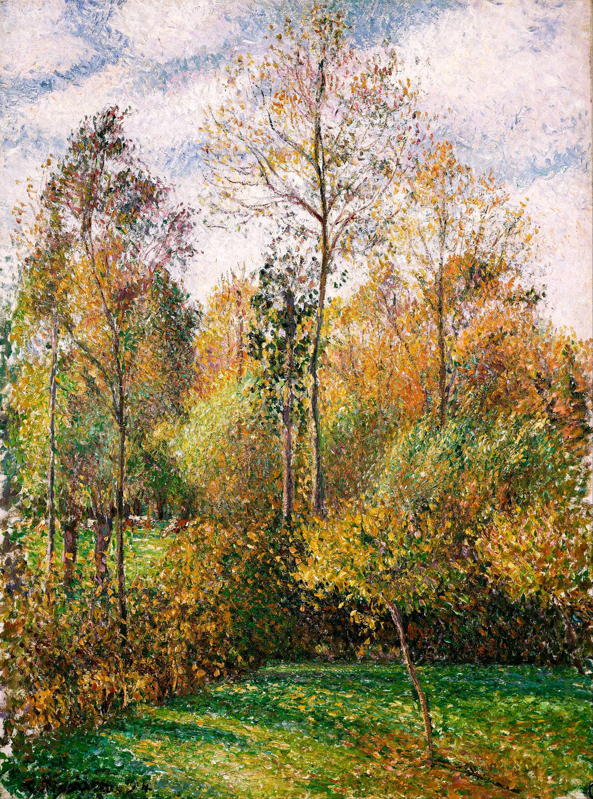 Autumn Poplars, Eragny – Camille Pissarro, 1894, framed