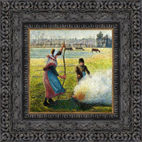 Dark Bronze frame
