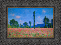 Dark Bronze frame