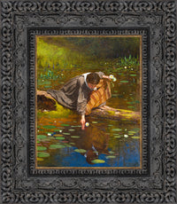 Dark Bronze frame