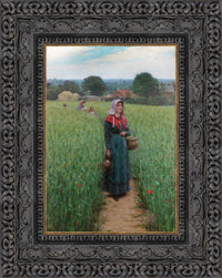 Dark Bronze frame