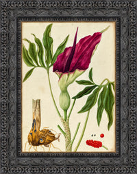 Dark Bronze frame