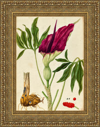 Gold frame