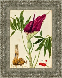 Silver frame