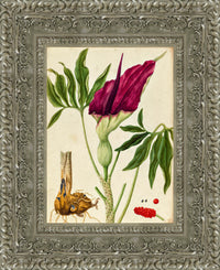 Silver frame