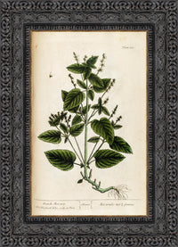Dark Bronze frame