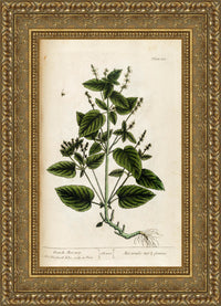 Gold frame