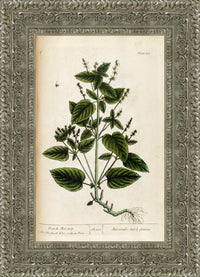 Silver frame