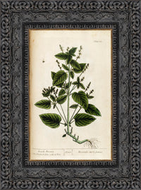 Dark Bronze frame