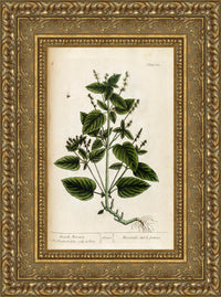 Gold frame