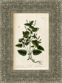 Silver frame